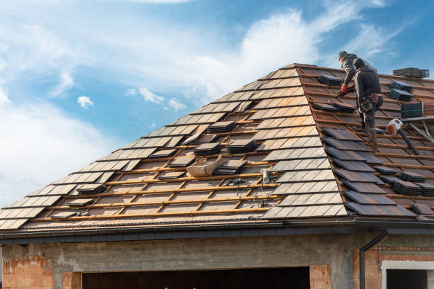 Best Skylight Installation and Repair  in Elverta, CA
