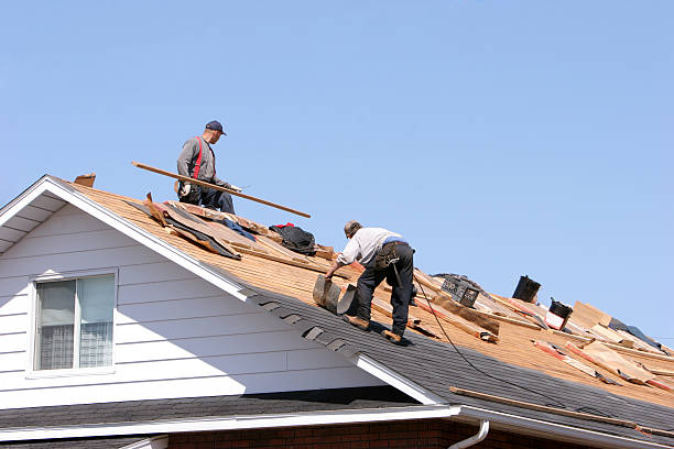 Best Metal Roofing Installation  in Elverta, CA